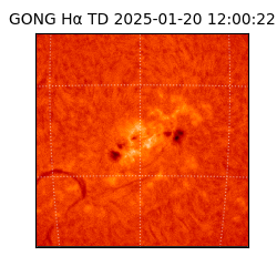 gong - 2025-01-20T12:00:22