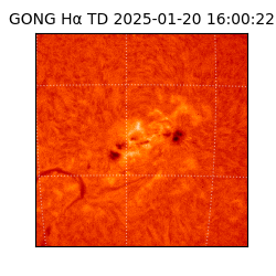 gong - 2025-01-20T16:00:22