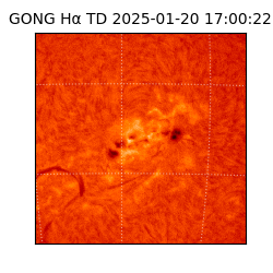 gong - 2025-01-20T17:00:22