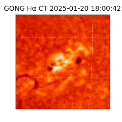 gong - 2025-01-20T18:00:42