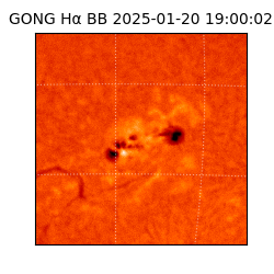 gong - 2025-01-20T19:00:02