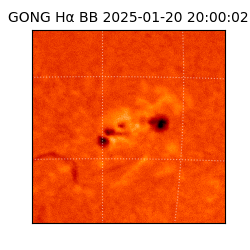 gong - 2025-01-20T20:00:02