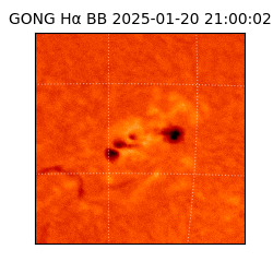 gong - 2025-01-20T21:00:02