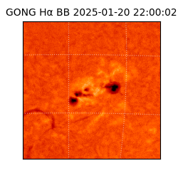 gong - 2025-01-20T22:00:02