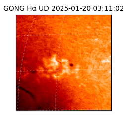gong - 2025-01-20T03:11:02