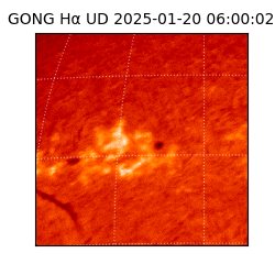 gong - 2025-01-20T06:00:02