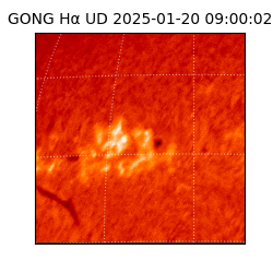 gong - 2025-01-20T09:00:02