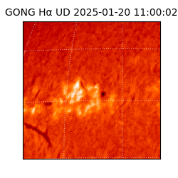 gong - 2025-01-20T11:00:02