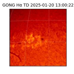 gong - 2025-01-20T13:00:22