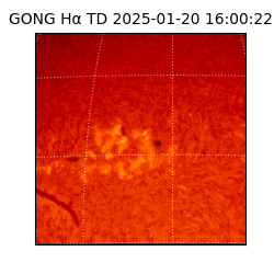 gong - 2025-01-20T16:00:22