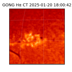 gong - 2025-01-20T18:00:42