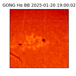 gong - 2025-01-20T19:00:02