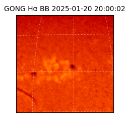 gong - 2025-01-20T20:00:02