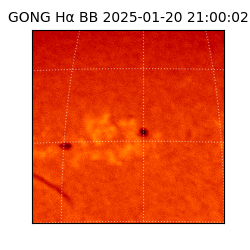 gong - 2025-01-20T21:00:02