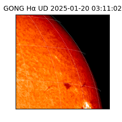 gong - 2025-01-20T03:11:02