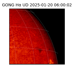 gong - 2025-01-20T06:00:02