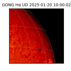gong - 2025-01-20T10:00:02