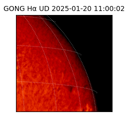 gong - 2025-01-20T11:00:02