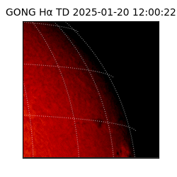 gong - 2025-01-20T12:00:22