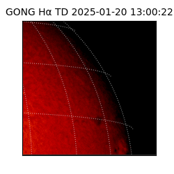 gong - 2025-01-20T13:00:22