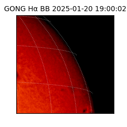 gong - 2025-01-20T19:00:02