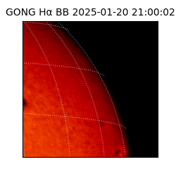 gong - 2025-01-20T21:00:02