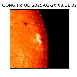 gong - 2025-01-20T03:11:02