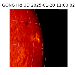gong - 2025-01-20T11:00:02
