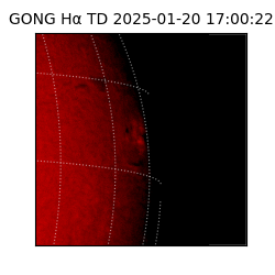 gong - 2025-01-20T17:00:22