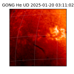 gong - 2025-01-20T03:11:02