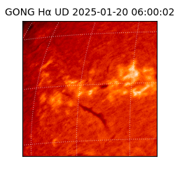 gong - 2025-01-20T06:00:02
