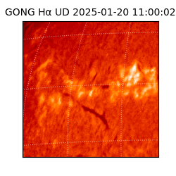 gong - 2025-01-20T11:00:02