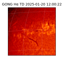 gong - 2025-01-20T12:00:22