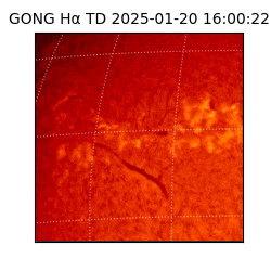 gong - 2025-01-20T16:00:22