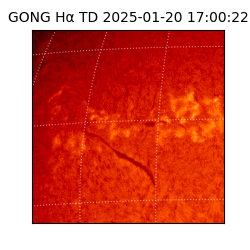 gong - 2025-01-20T17:00:22