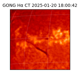 gong - 2025-01-20T18:00:42