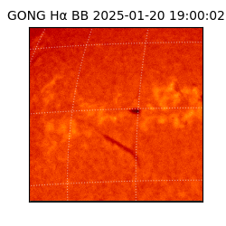 gong - 2025-01-20T19:00:02