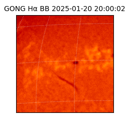 gong - 2025-01-20T20:00:02