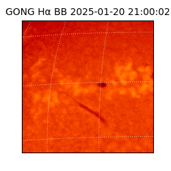 gong - 2025-01-20T21:00:02