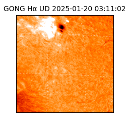 gong - 2025-01-20T03:11:02