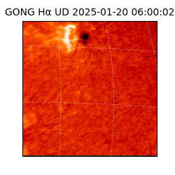 gong - 2025-01-20T06:00:02