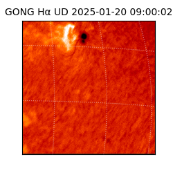 gong - 2025-01-20T09:00:02