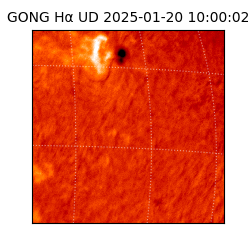 gong - 2025-01-20T10:00:02