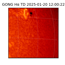gong - 2025-01-20T12:00:22