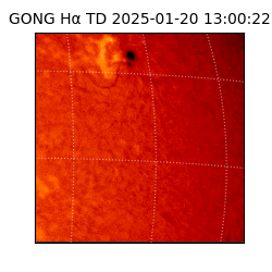 gong - 2025-01-20T13:00:22