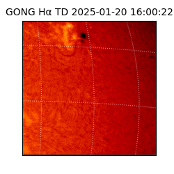 gong - 2025-01-20T16:00:22