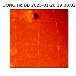 gong - 2025-01-20T19:00:02