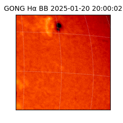 gong - 2025-01-20T20:00:02