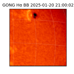 gong - 2025-01-20T21:00:02