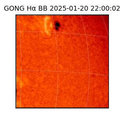 gong - 2025-01-20T22:00:02